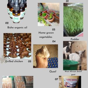 Sustainable Organic Production Training (Physical (On-Farm) Option)